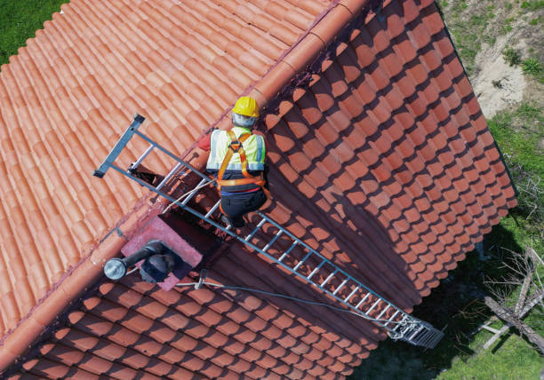 Best Asphalt Shingle Roofing  in USA